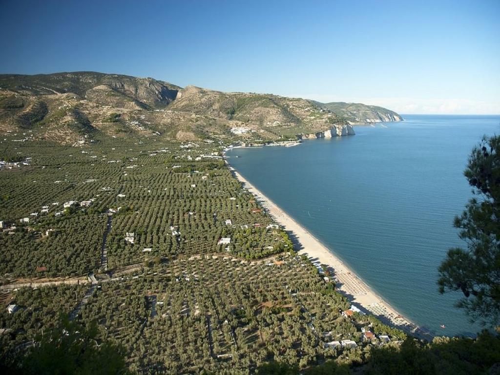 Hotel Alba Del Gargano Mattinata Exteriör bild